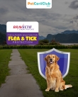 Bravecto Chews for Dogs: The Ultimate Solution for Flea Tick Protection - PetCareClub